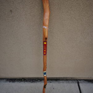 Egypt walking stick by Don Wiley