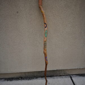 Tolkien (lord of the rings) Walking Stick by Don Wiley