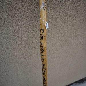Irish Republican walking stick by Don Wiley